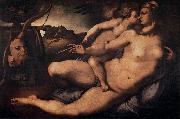 Venus and Cupid Jacopo Pontormo